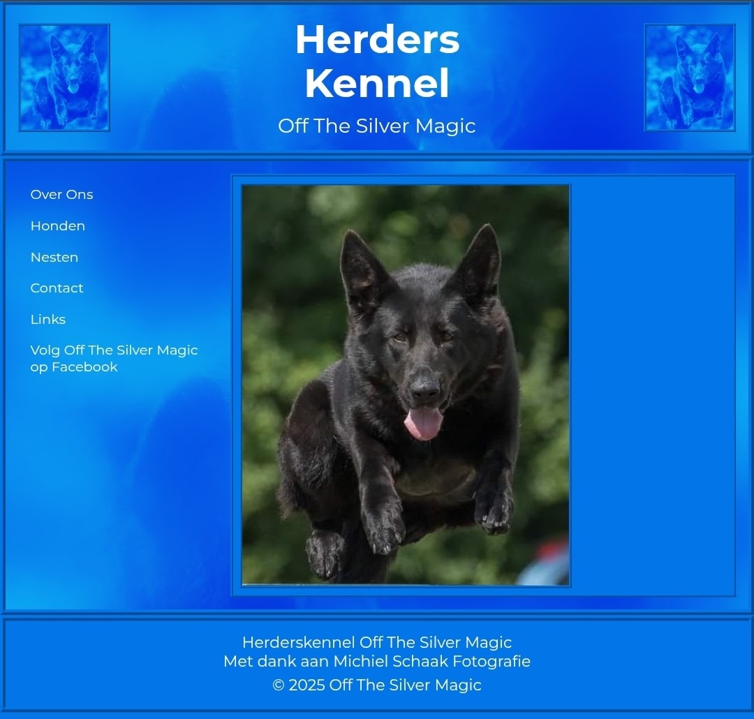 Screenshot Off the Silver Magic site